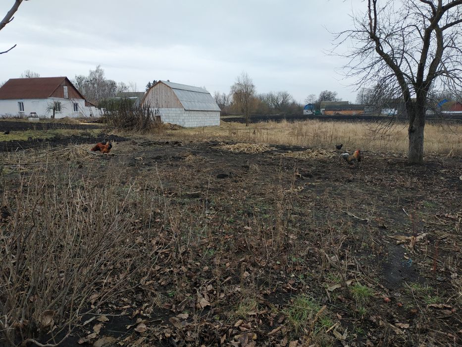 Частный дом с землей