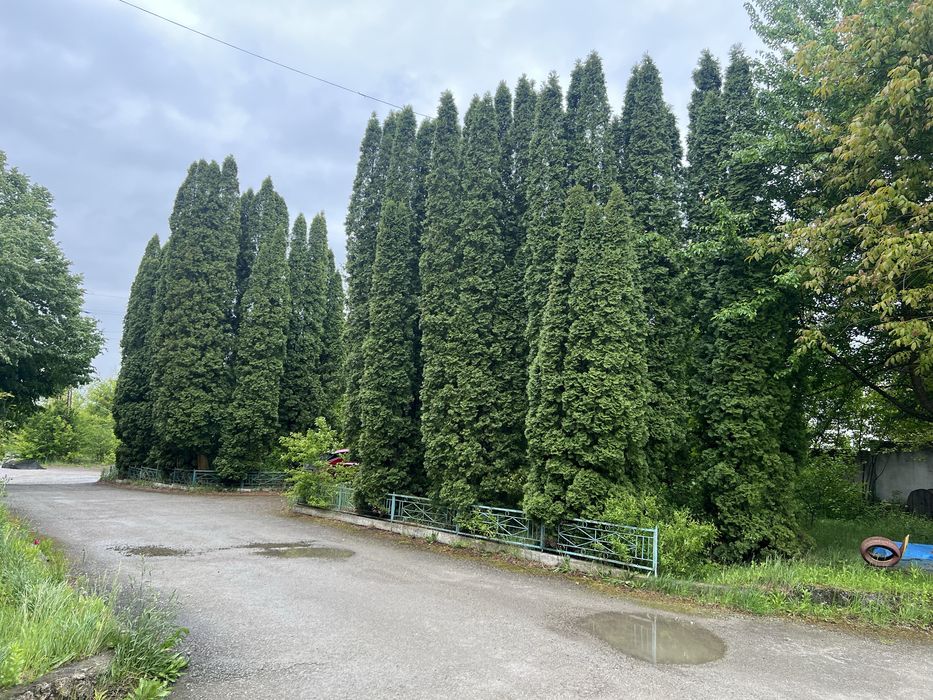 Продається  будинок профілактично- оздоровчий заклад