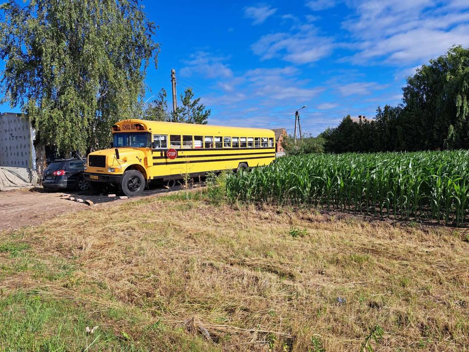 SKORZĘCIN noclegi w amerykanskim kamperze wolne pokoje SCOOL BUS