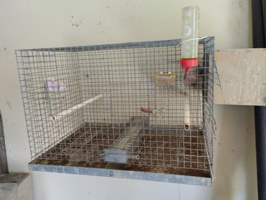 Gaiolas em segunda mão