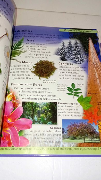 Primeira enciclopédia da Ciência