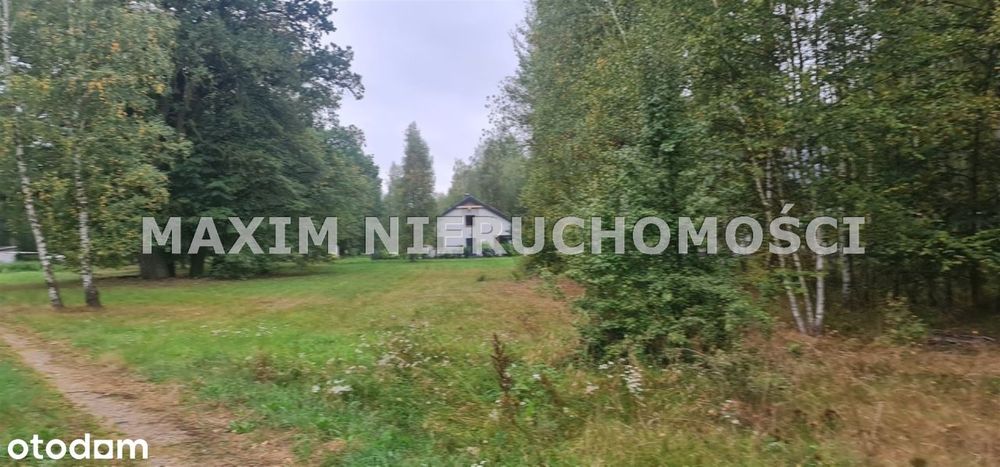 Działka z Warunkami Zabudowy w miejsc. Sadek