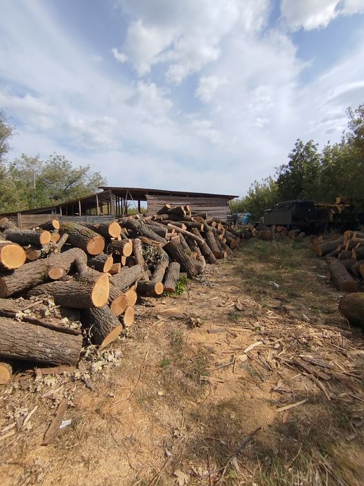 Дрова з доставкою глеваха!! Граб колотий длина 30-35см середній покол.