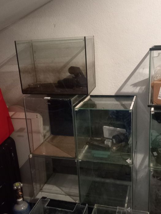 Vendo aquarios todos com tampa e varios tamanhos