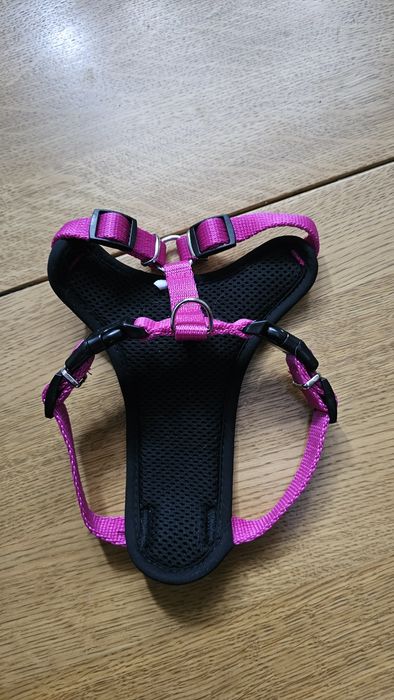 Szelki Guard Comfort Marigold Chaba piękne S