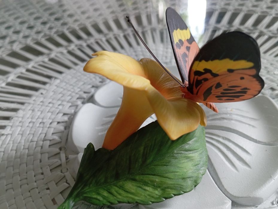 Porcelanowy motyl Franklin