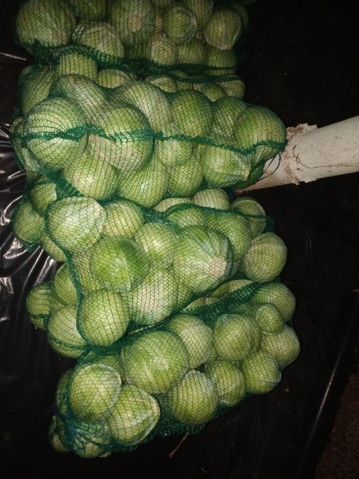 Продам Капусту Білокачану