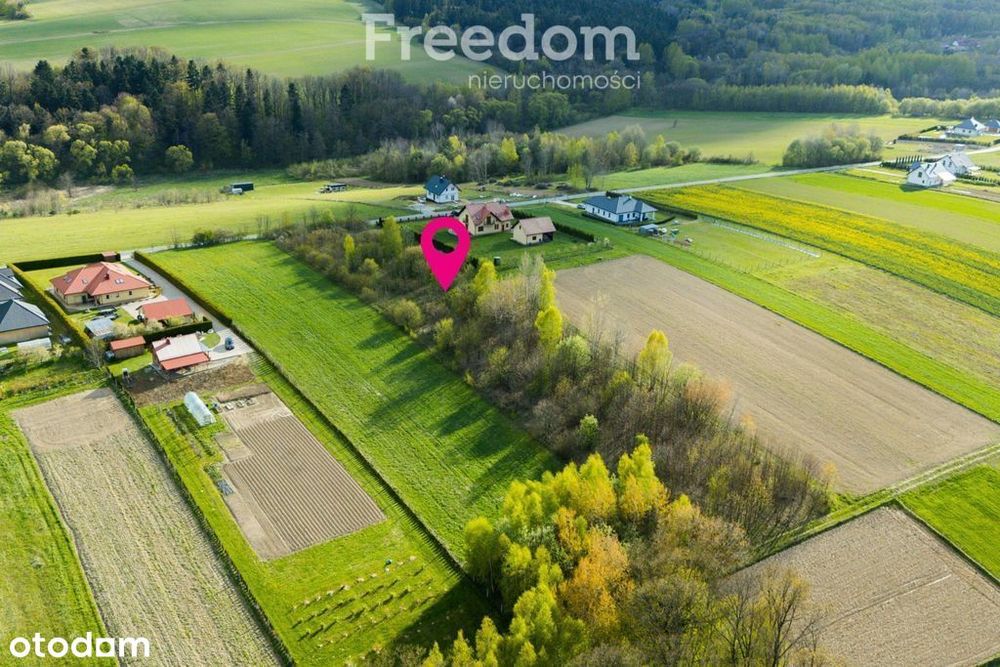 Widokowa działka 71 ar Dylągówka