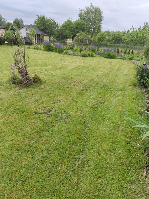 Ogródek/Działka ROD PRZYRODA Elbląg 600 m² - Więcej