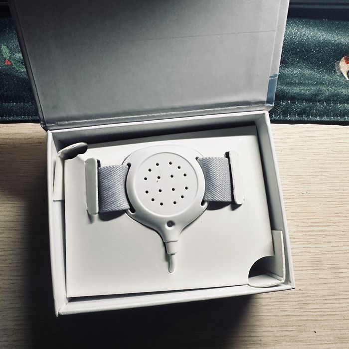 Elektryczna Niania inteligenty alarm