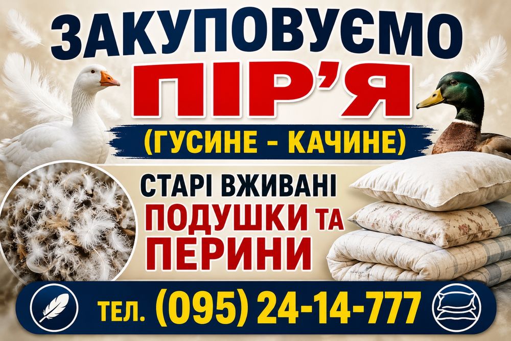 Закуповуємо Пірʼя