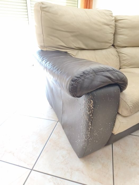 Sofá usado em pele