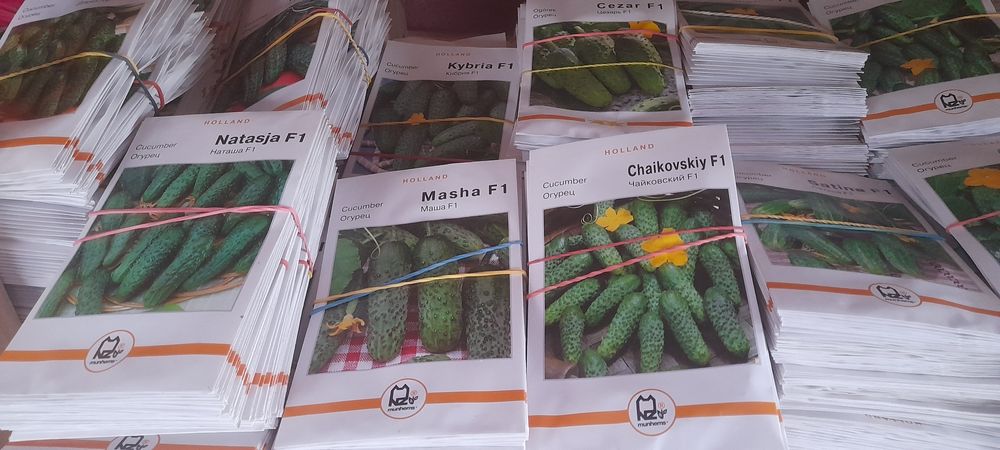 Семена овощей голандское насіння голандське якісне краща ціна