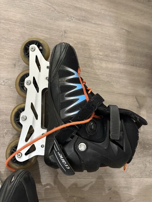 Patins numero 45
