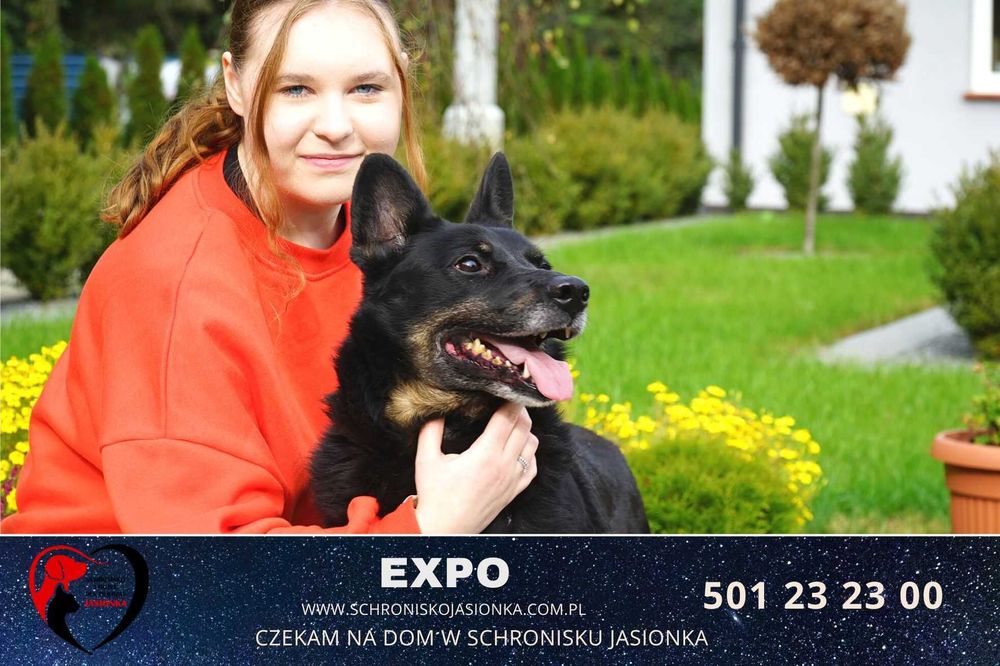 Expo do adopcji – Schronisko Jasionka