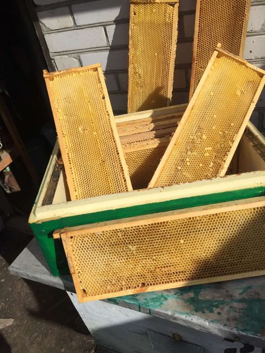 Рамки пчелиные 145 и 300.Сушь.Вощина