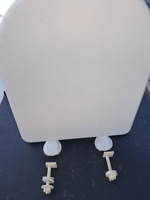 Tampo de sanita indusa