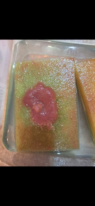 Żywy pokarm dla ryb akwsriowych Auloforus