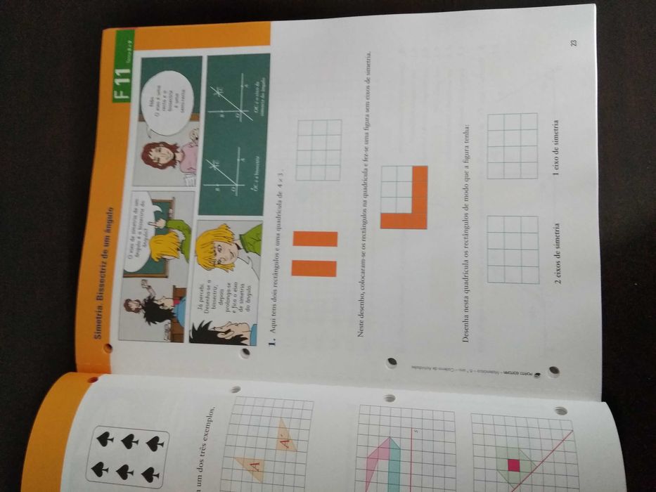 Manual e Caderno de atividades Matemática 6ºano