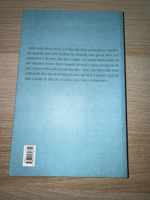 Visto do Céu, Alice Sebold