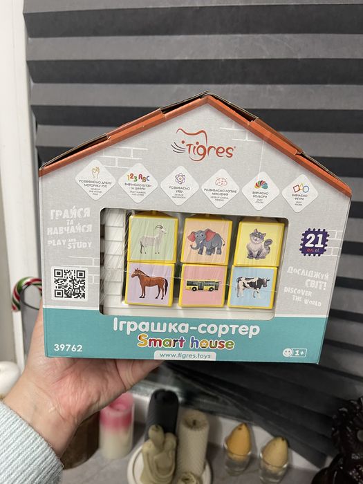 Бізі-будинок, сортер