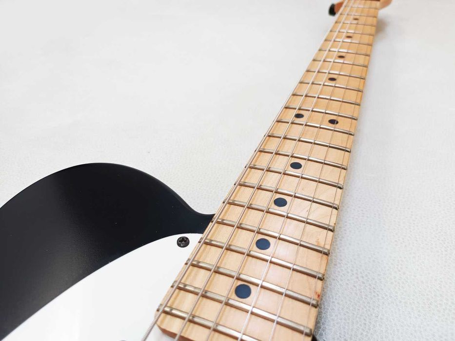 Fender Jim Root Telecaster Signature Series