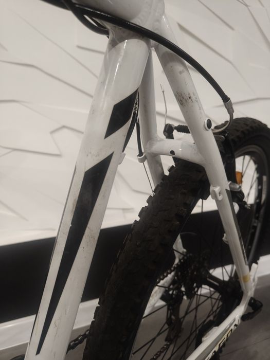 Rower Kross hexagon 1.0  rama L