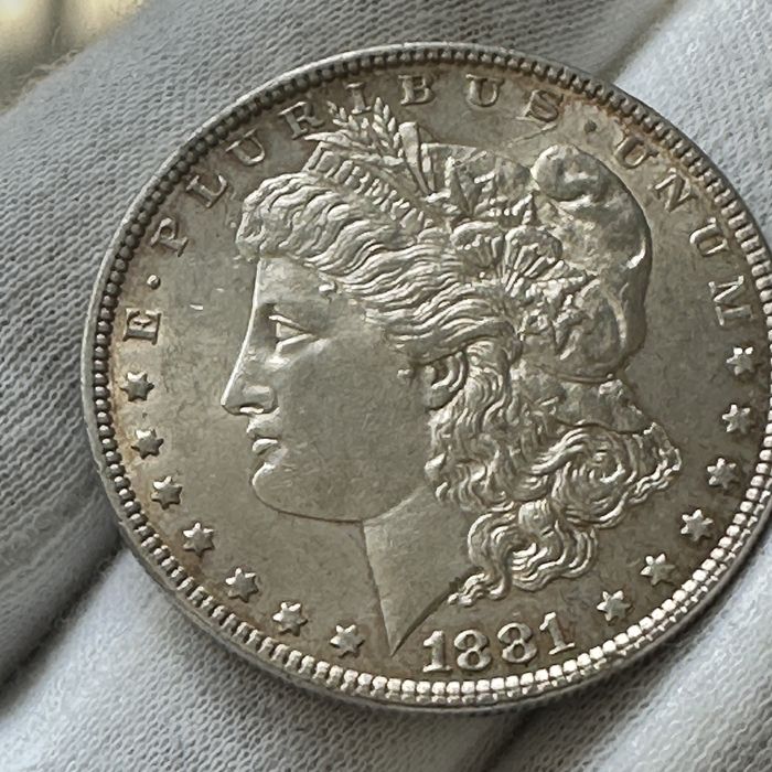 one Dollar 1881r