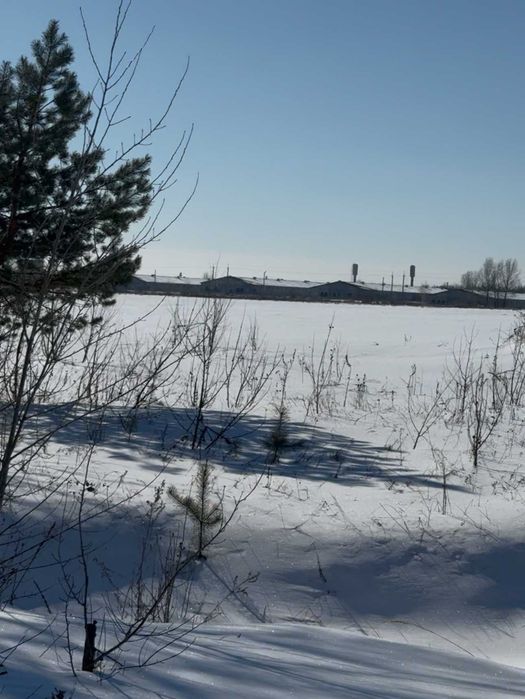 ПРОДАЄМО земельну  ділянку 20 ГА по 300 уе/сотка в Димері, Вишгородський р-н !!