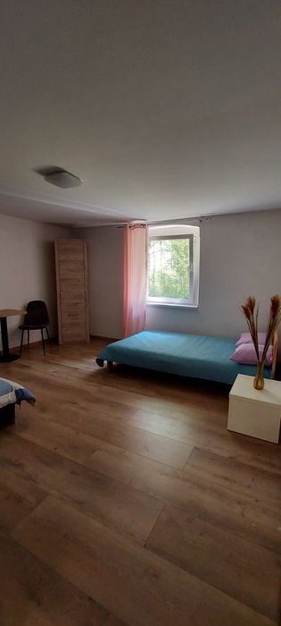 PROMOCJA Nd-Pt 1200zł