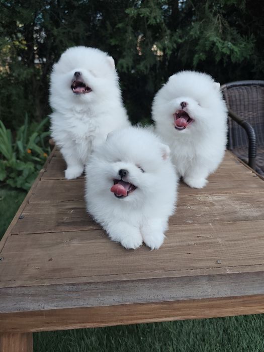 Гарненькі Дівчатка,та Хлопчики!