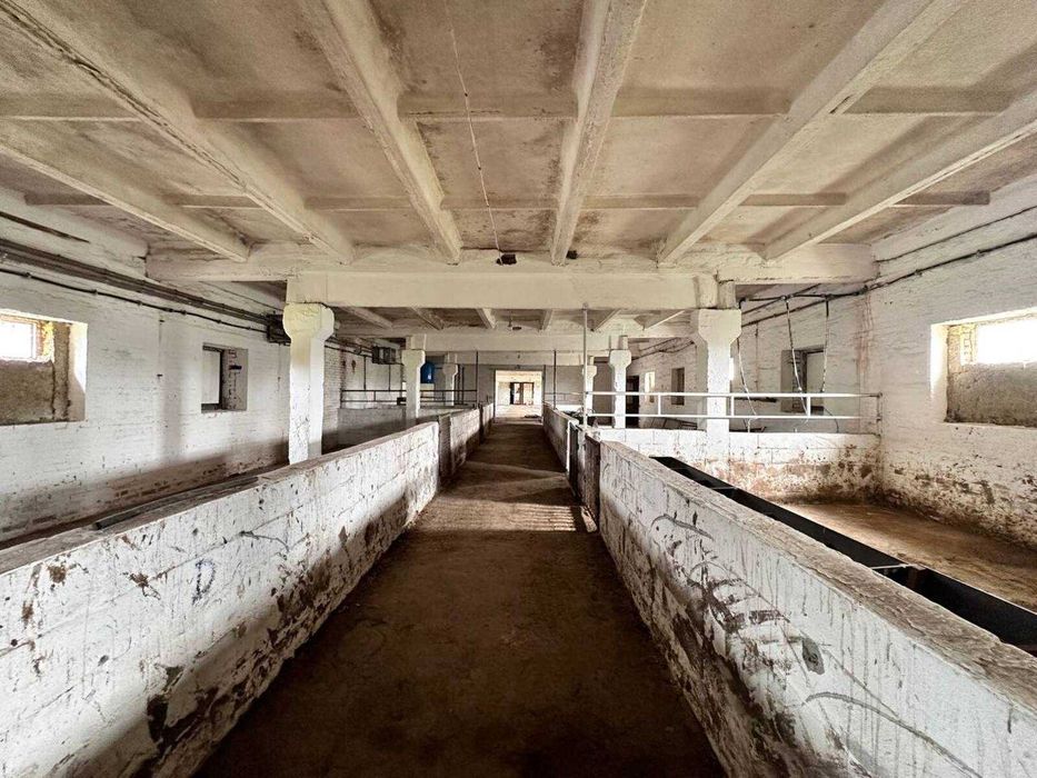 Продаж свиноферми 960м2, 20кВт в с.Великополовецьке