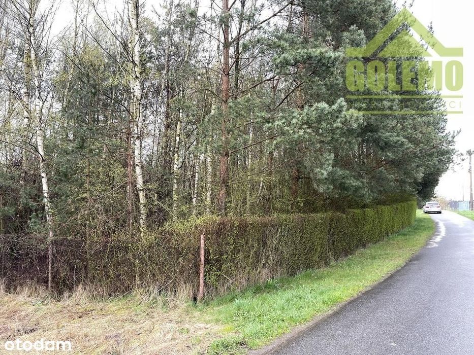 Działka Budowlano-Rekreacyjna / 8900 m² / Łochynia - Więcej