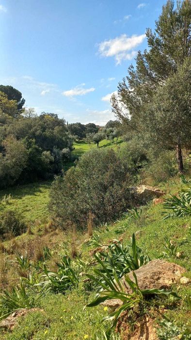 TERRENO COM Projeto de Construção Aprovado
