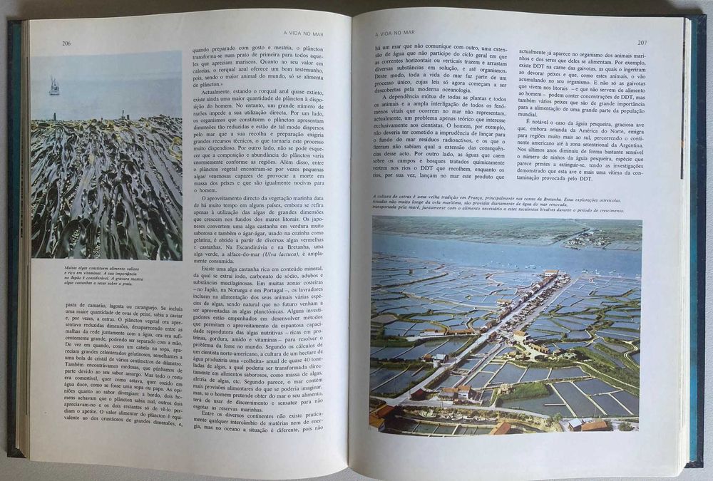 O Grande Livro dos Oceanos