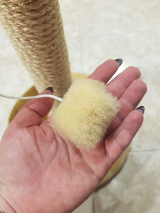 Когтєточка для котика.