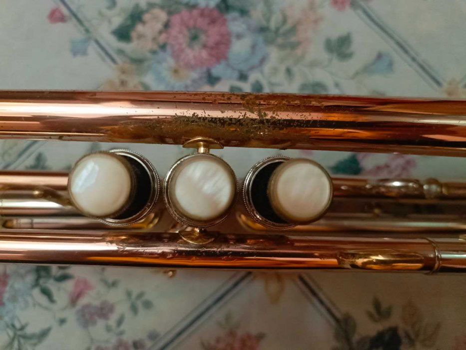 Труба Roy Benson