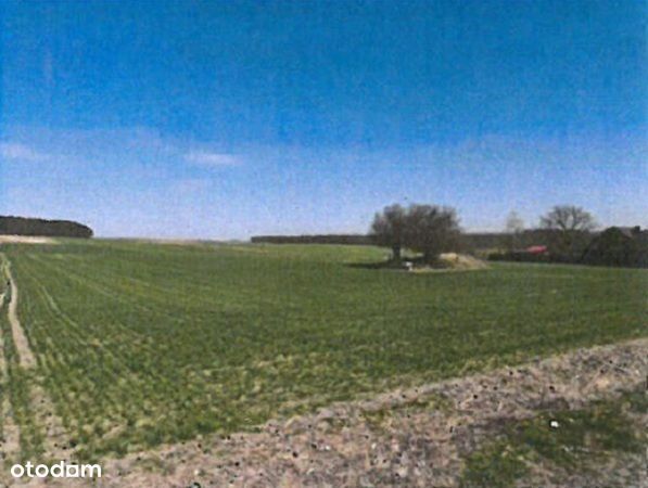 Syndyk sprzeda udział ½ w działce rolnej - Widok 4