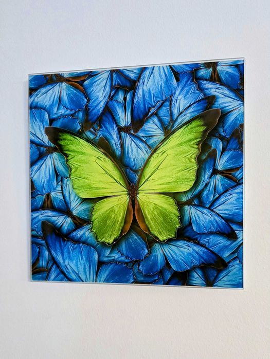 Szklane Obrazy 20x20 - 2 sztuki motyle
