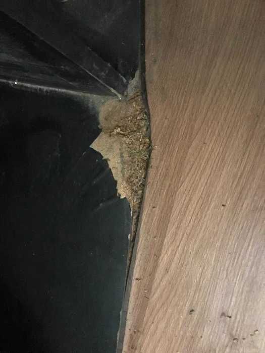 Аквариум на 500 литров + Тумба под него