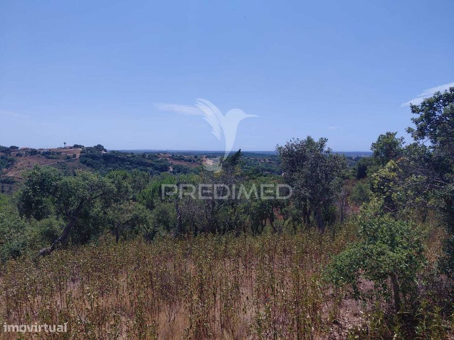 Estate located 15 minutes from Lagoa de S. André.