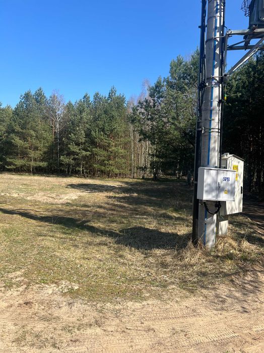 Działka blisko rzeki Narwii