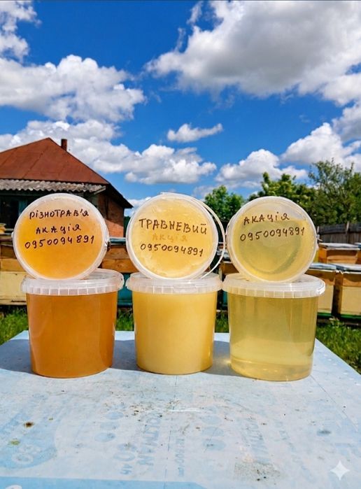 Натуральний мед з сімейної пасіки на Полтавщині