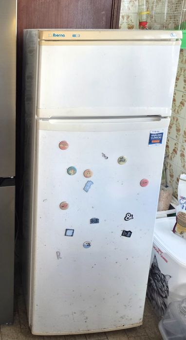 Frigorífico iberna a funcionar