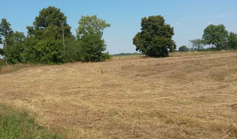 Działki budowlane Barlinek / Mostkowo