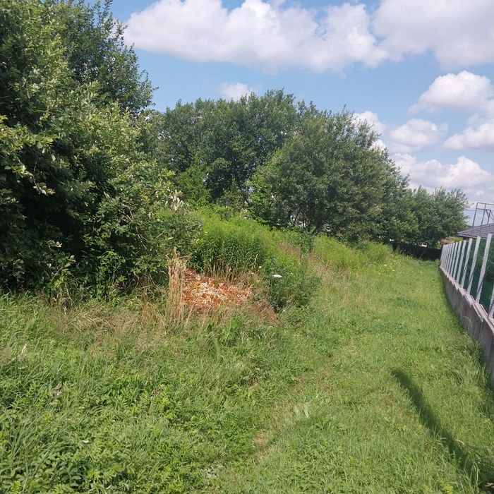 Зачистка територій Львівська область!