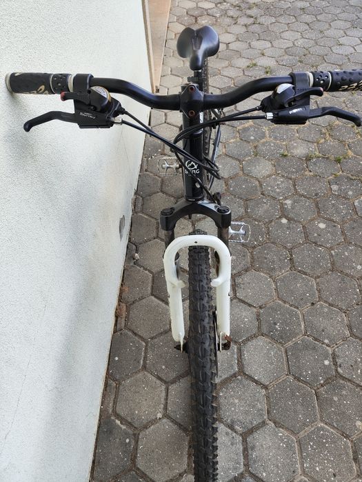 Bicicleta Berg Trail Rock