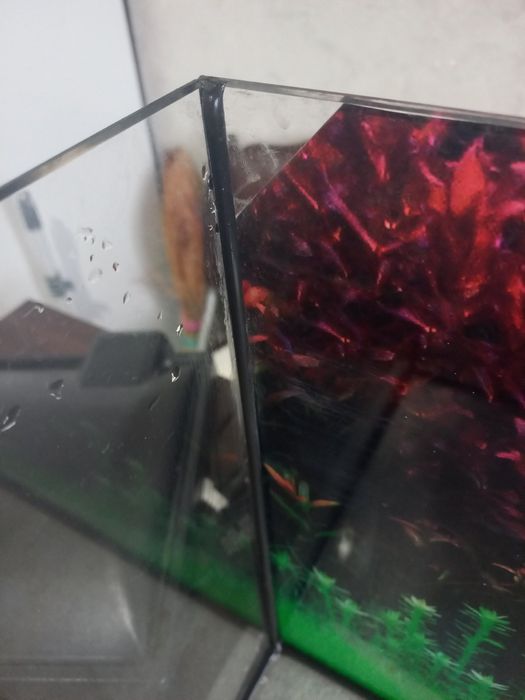 Акварюм новий стан 57