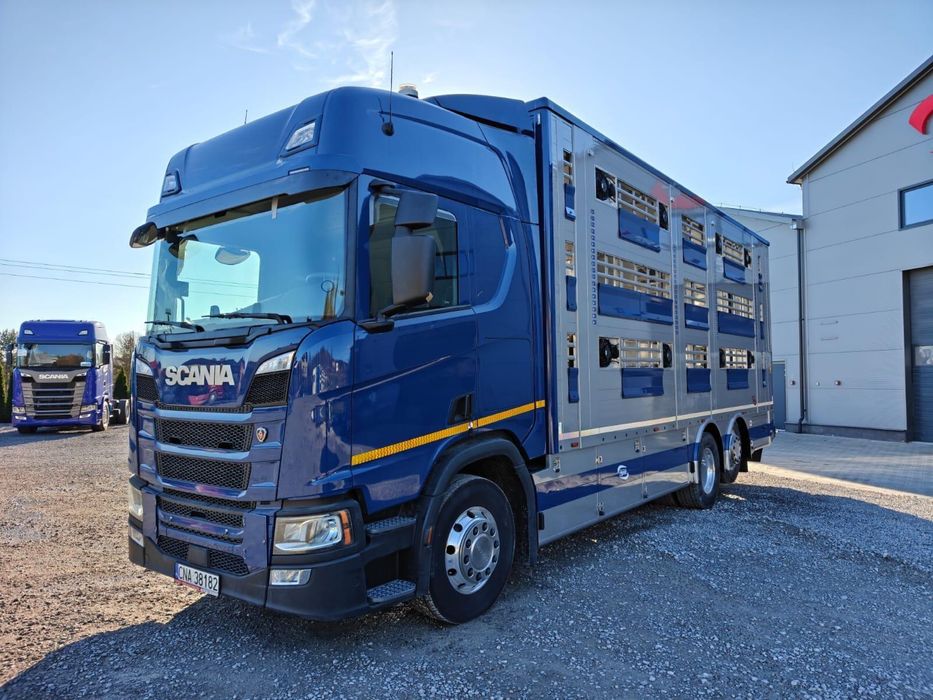 Skup  i sprzedaż bydła odsadkow cieląt transport szybka