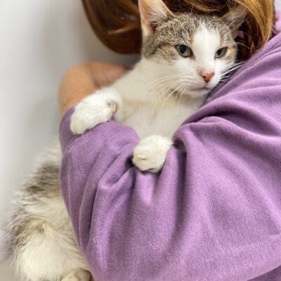 Doris szuka wspaniałej rodziny